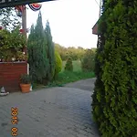 Micofogado