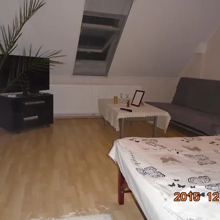 Micofogado Budapeşte