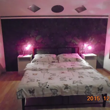 Guest house Micofogado