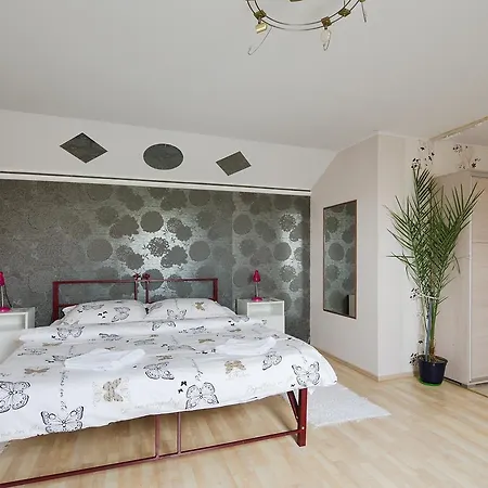 Guest house Micofogado *